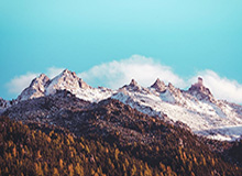 官方：麦克托米奈世界波当选意甲2月最佳进球