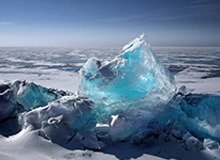 官方：麦克托米奈世界波当选意甲2月最佳进球