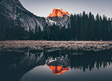 官方:麦克托米奈世界波当选意甲2月最佳进球